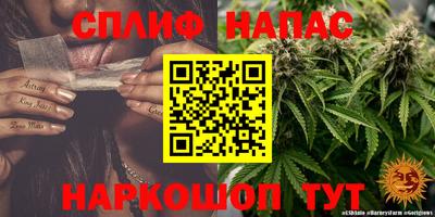 индика Краснодар