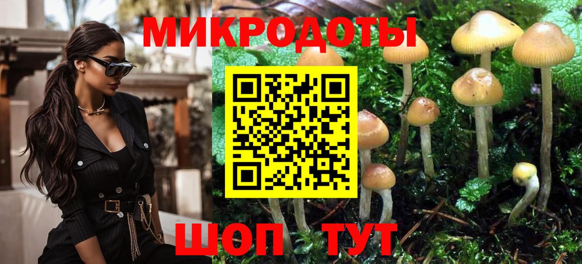 Галлюциногенные грибы Cubensis Коломна