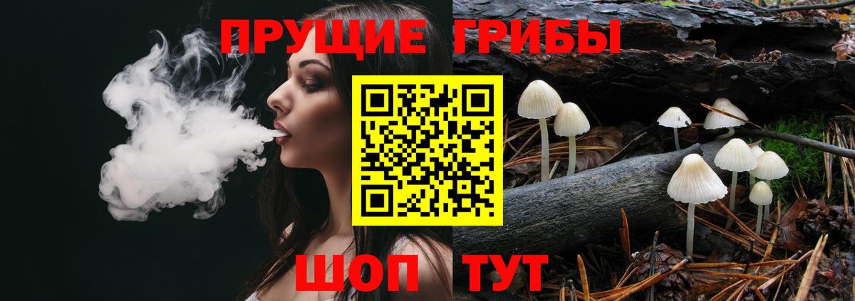 Коломна  Псилоцибиновые грибы мицелий  Вход с VPN 